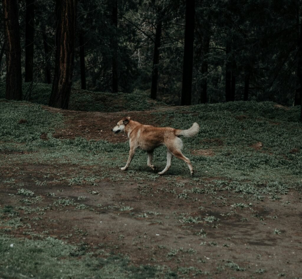 INICIO ahmadreza najafi cmtrv7 xuze unsplash